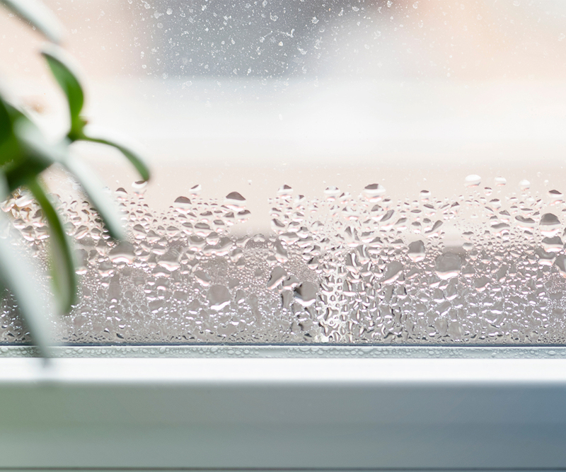 Condensation, Mould and Mildew